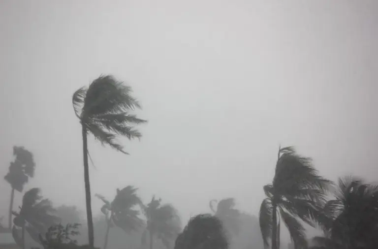 門診公告|巴威颱風休診公告 3 typhoon-08