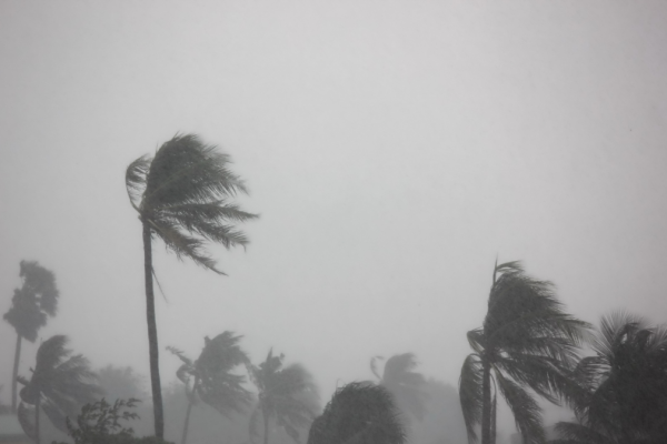 typhoon-08