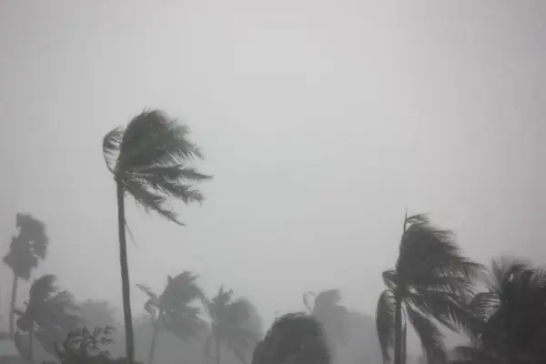 typhoon-08